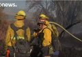 Калифорния: площадь лесного пожара сокращена на четверть