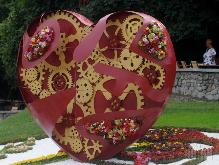 Открытие фестиваля цветов Гордость твоя, Украина в Киеве