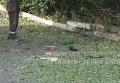 На месте взрыва в Донецке