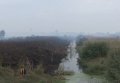 Пожар на торфяниках во Львовской области