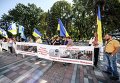 Антитрухановский майдан под стенами Рады в Киеве