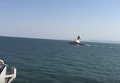 Пуск ракет Калибр ВМС РФ на учениях Кавказ-2016. Видео
