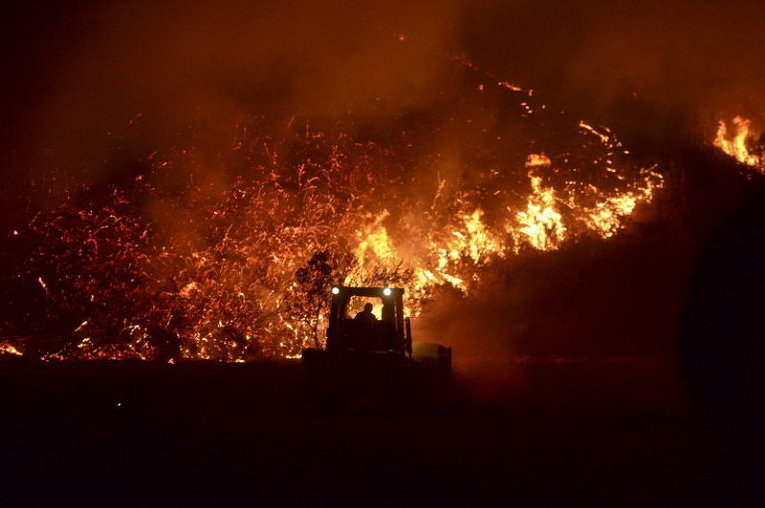 Лесной пожар на юге Португалии