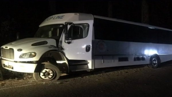 В США автобус со школьниками врезался в дерево