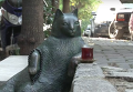 Памятник самому известному коту Турции открыли в Стамбуле