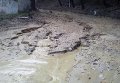 Львов последствия непогоды: грязевые потоки, подтопления домов и падение деревьев