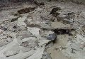 Львов последствия непогоды: грязевые потоки, подтопления домов и падение деревьев