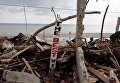 Катастрофические последствия урагана Мэтью на Гаити