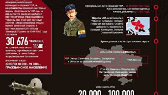Украинская повстанческая армия. Инфографика