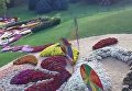 Выставка хризантем на Певчем поле в Киеве
