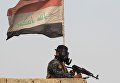 Иракская армия наступает на Мосул