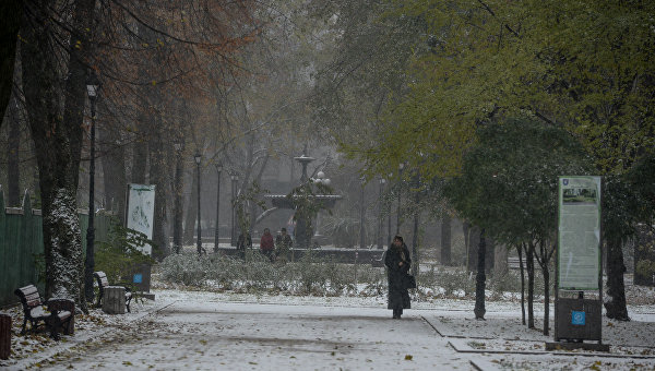 Мокрый снег в Киеве