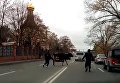 В Харькове по улицам бегала корова. Видео