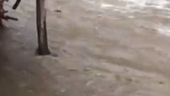 Наводнение в селе Лумшоры, Закарпатье