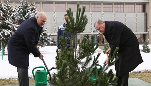 Александр Лукашенко и Реджеп Тайип Эрдоган вместе посадили дерево на Аллее почетных гостей у Дворца Независимости