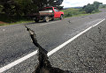 Землетрясение в Новой Зеландии