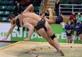 Международный турнир по борьбе сумо во Львове