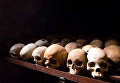 Человеческие черепа в мемориальном центре геноцида в городе Ньямата