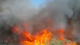 Израиль захлестнула волна пожаров. Хайфа - горячая точка четверга. Видео