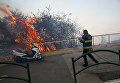 Сильные пожары в Хайфе
