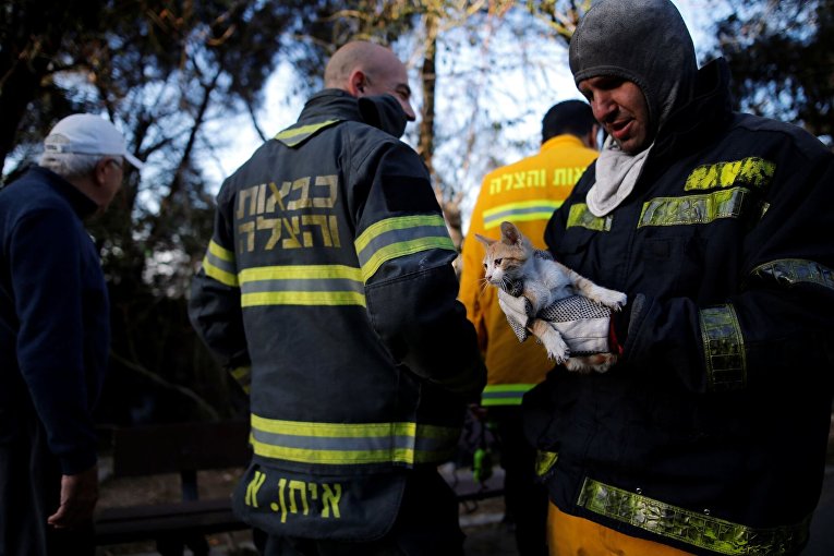 Пожарные в израильской Хайфе