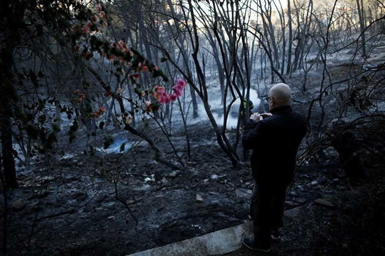Последствия пожаров в израильской Хайфе