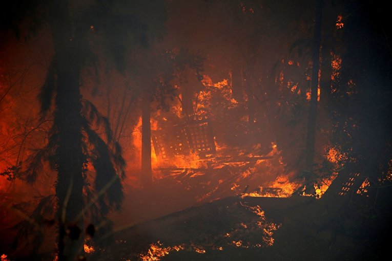 Пожар в израильской Хайфе