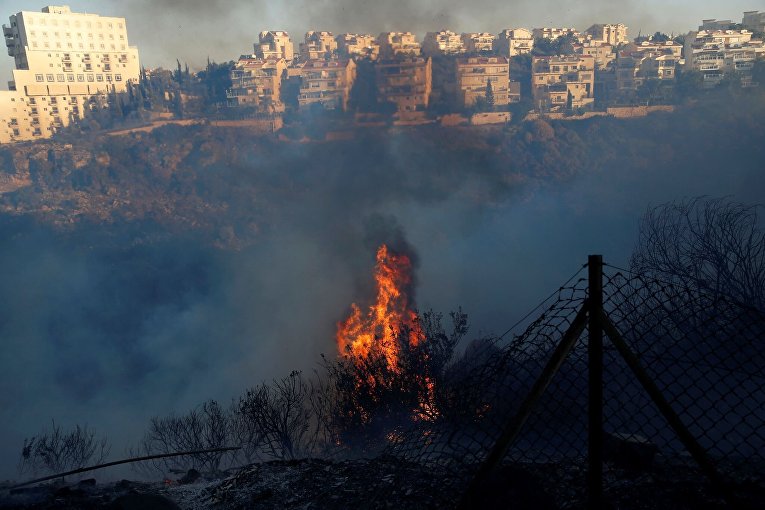 Пожары в израильской Хайфе
