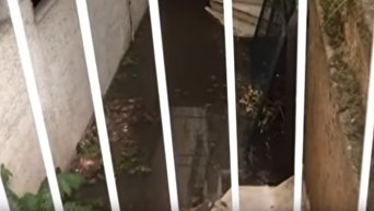 В Афинах из-за ливней несколько станций метро оказались затоплены водой. Видео