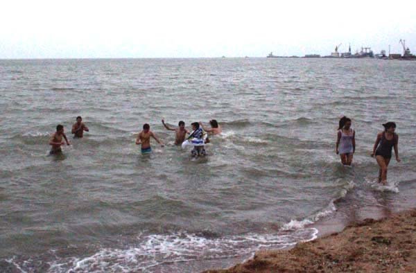 В Мариуполе моржи открыли пляжный сезон в Азовском море