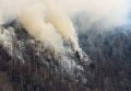 Масштабные лесные пожары в Теннесси