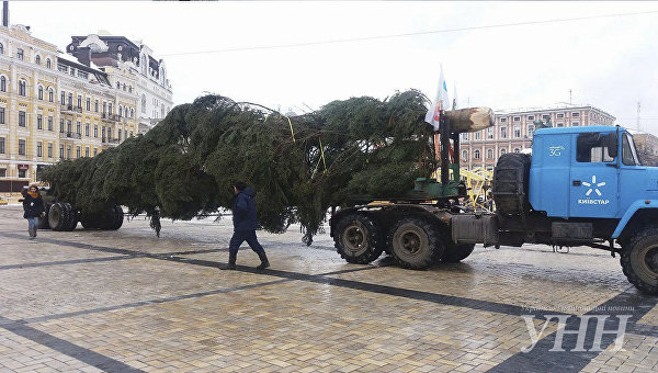 В Киев на Софиевскую площадь привезли главную елку страны