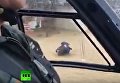 Испанец был готов отдать свое место в спасательном вертолете собаке. видео