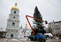 На Софийскую площадь Киева привезли главную елку страны. Уже построен каркас с бетонными плитами, который будет держать елку. Главная елка страны зажжется разноцветными огнями ориентировочно в 19:00 в понедельник, 19 декабря 2016 года, в День Святого Николая.