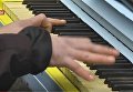 Пианист в Балаклаве Piano Extremist устроил трогательный концерт возле Администрации Президента в Киеве