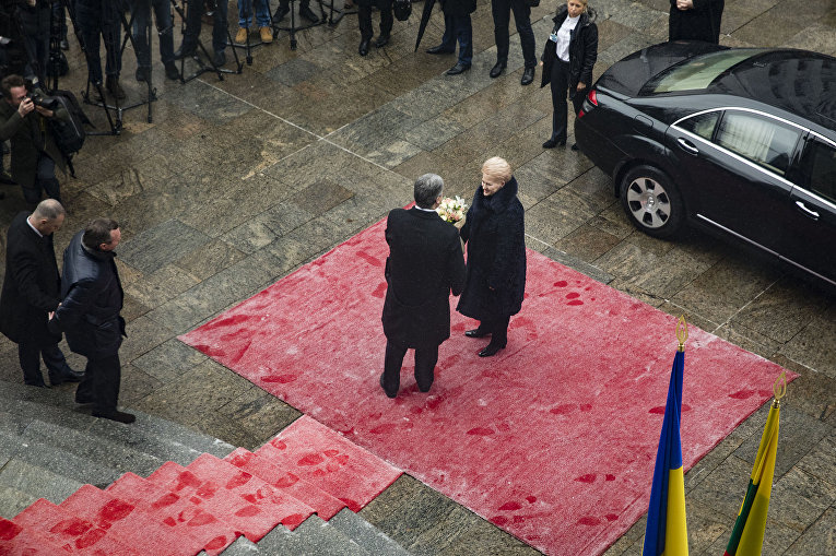 Президент Украины Петр Порошенко и президент Литовской Республики Даля Грибаускайте
