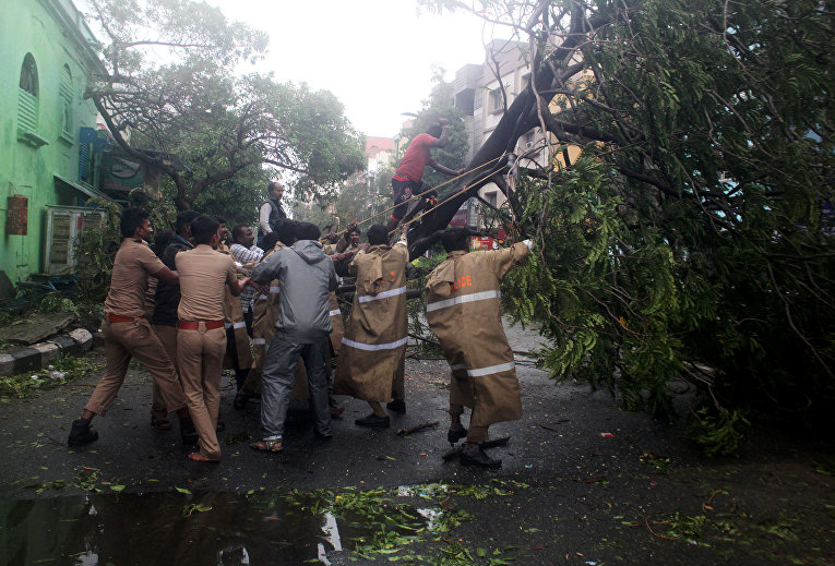 Полицейские убирают дерево, упавшее в результате урагана в Индии