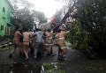 Полицейские убирают дерево, упавшее в результате урагана в Индии