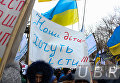 Митингующие из Укрспирта привели под Кабинет министров свиней