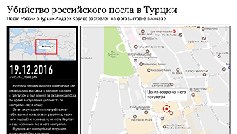 Убийство российского посла Андрея Карлова в Анкаре. Инфографика