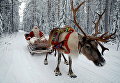 Рождество в Финляндии