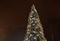 Новогодняя елка в Виннице