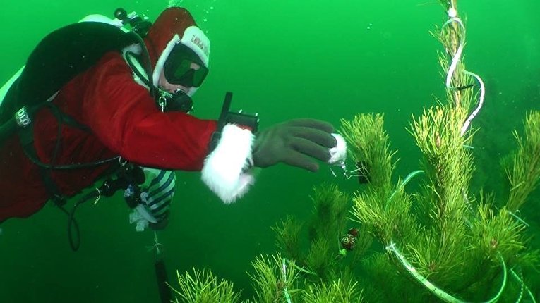 В Одесском заливе дайверы нарядили елку на 20-метровой глубине