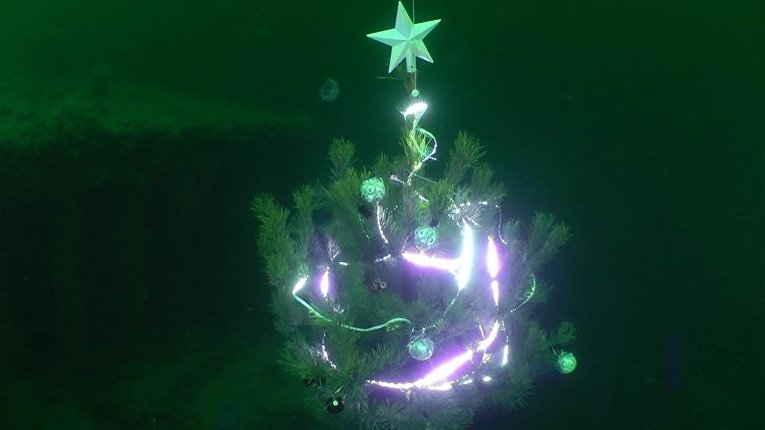В Одесском заливе дайверы нарядили елку на 20-метровой глубине