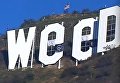 Надпись Голливуд в Лос-Анджелесе испортил любитель марихуаны. Видео
