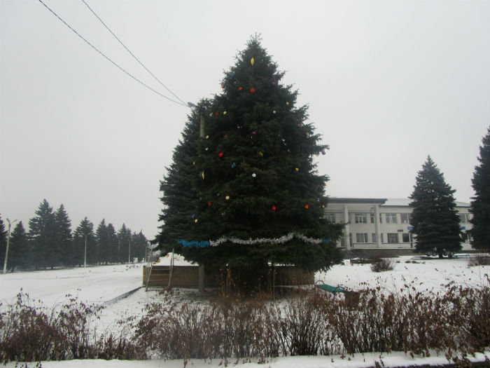 Новогодняя елка в Марьинке