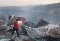 В Чили сгорели 100 домов