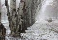 Снежная буря в Николаеве