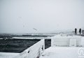 Замерзающее море Одессы