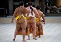 Традиционный январский турнир по сумо в Японии